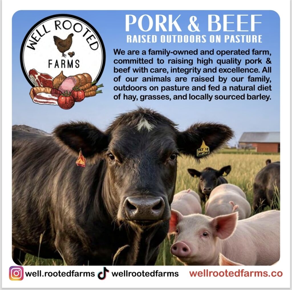 1000012819 1024x1017